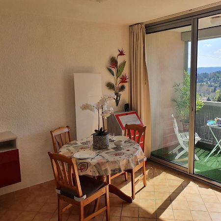 La Vue Du Chateau - Tout Confort Apartment Greoux-les-Bains Bagian luar foto